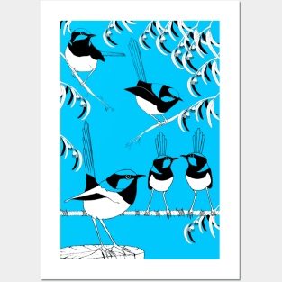 Superb Blue-wren Posters and Art